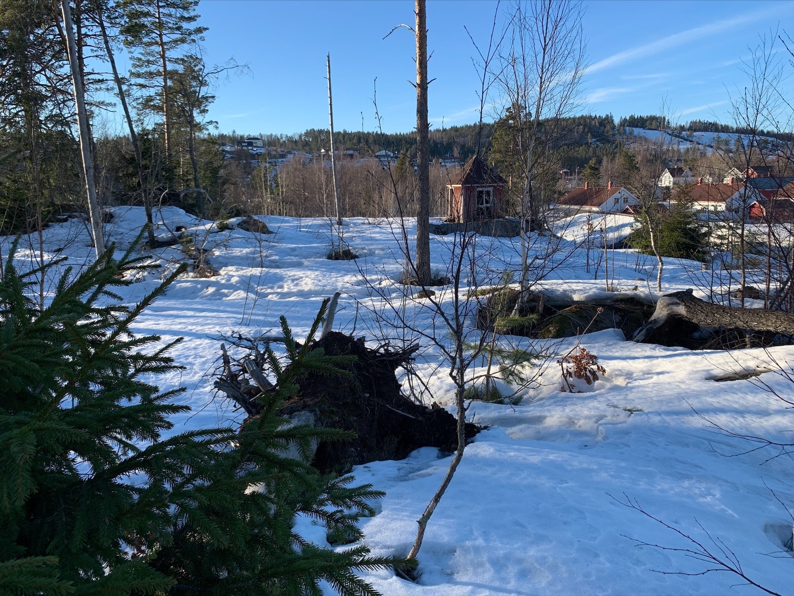 På tomten Galleribilde