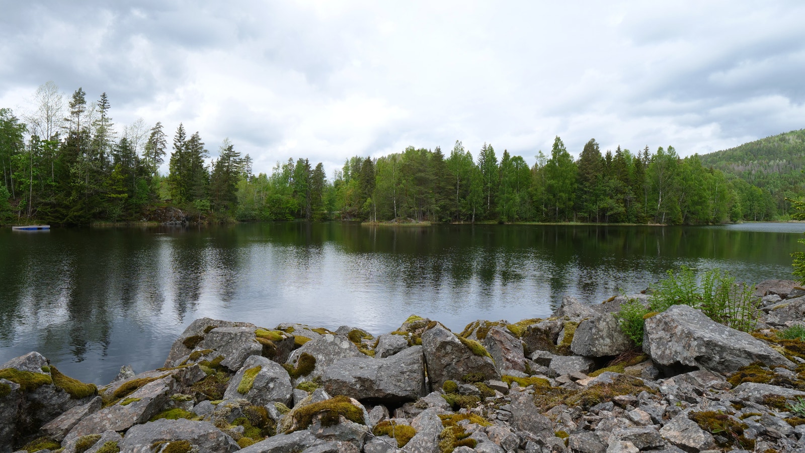 Områdebilde Galleribilde