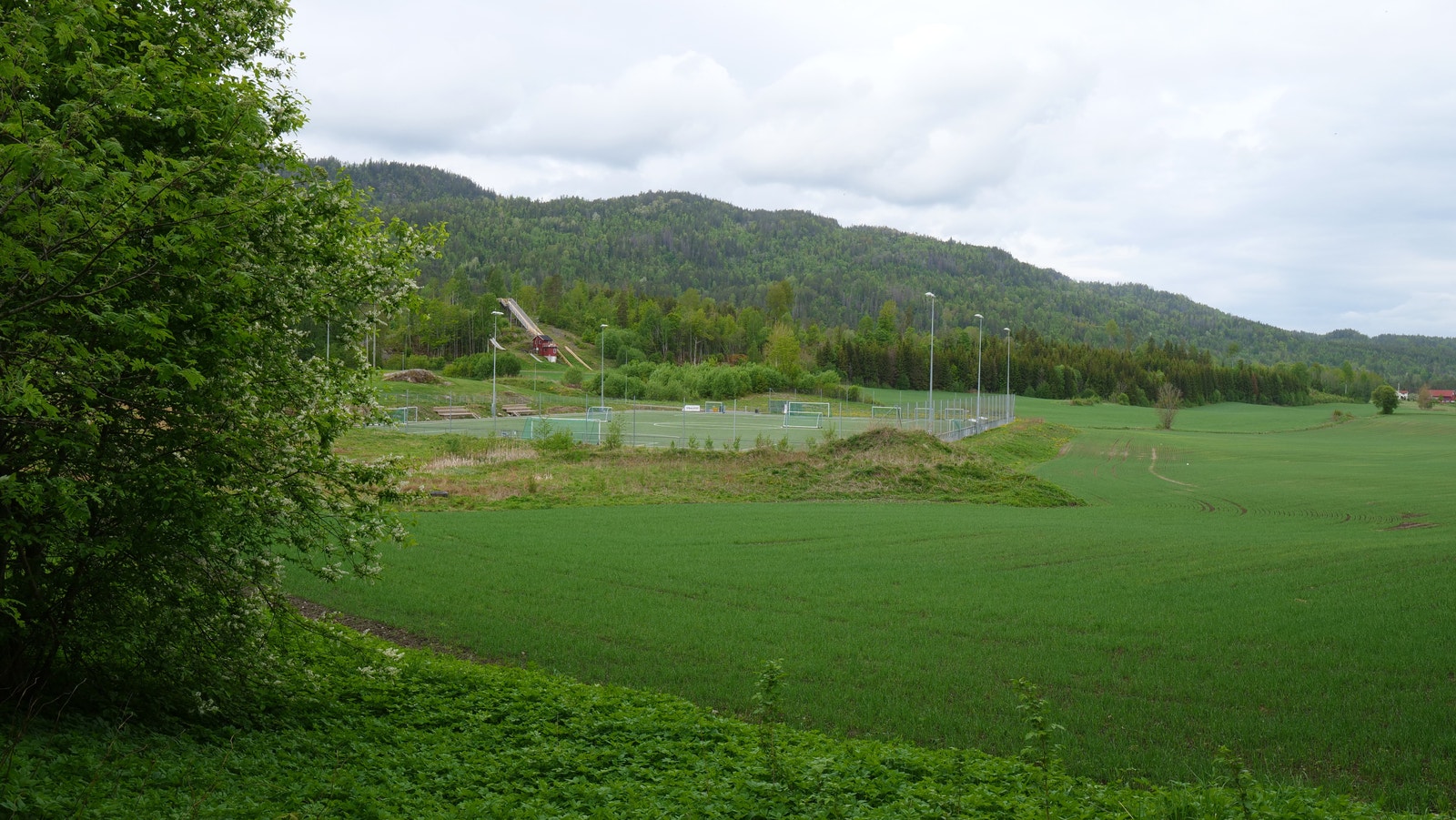 Områdebilde Galleribilde