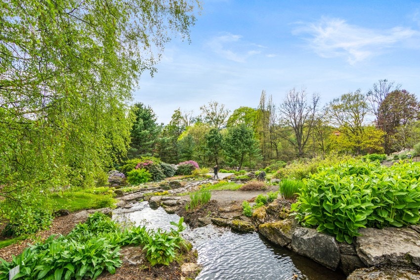 Besøk populære Botaniske Hage! Galleribilde