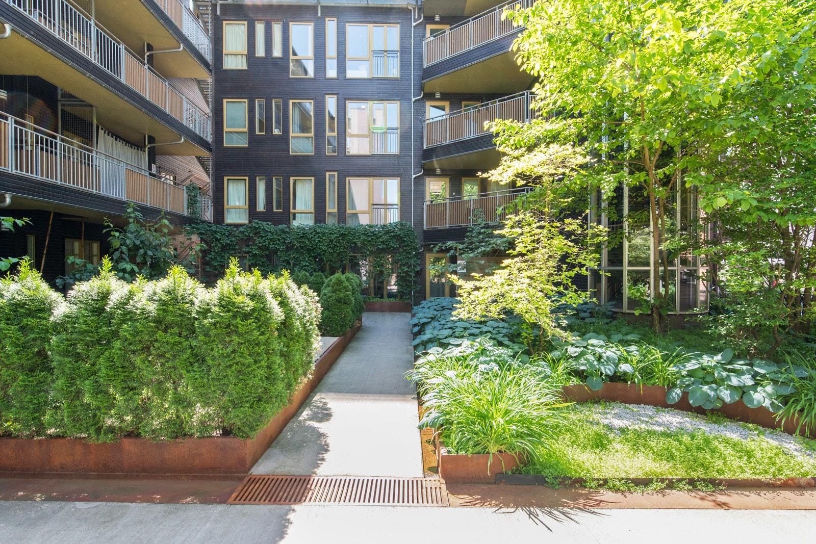 Hyggelig opparbeidet bakgård med asfalterte stier og beplantning. Galleribilde