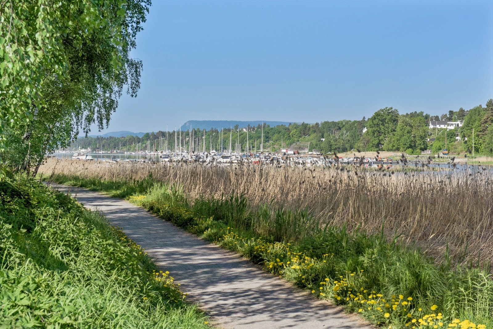 Kort avstand til idyllisk tursti i Holtekilen. Galleribilde