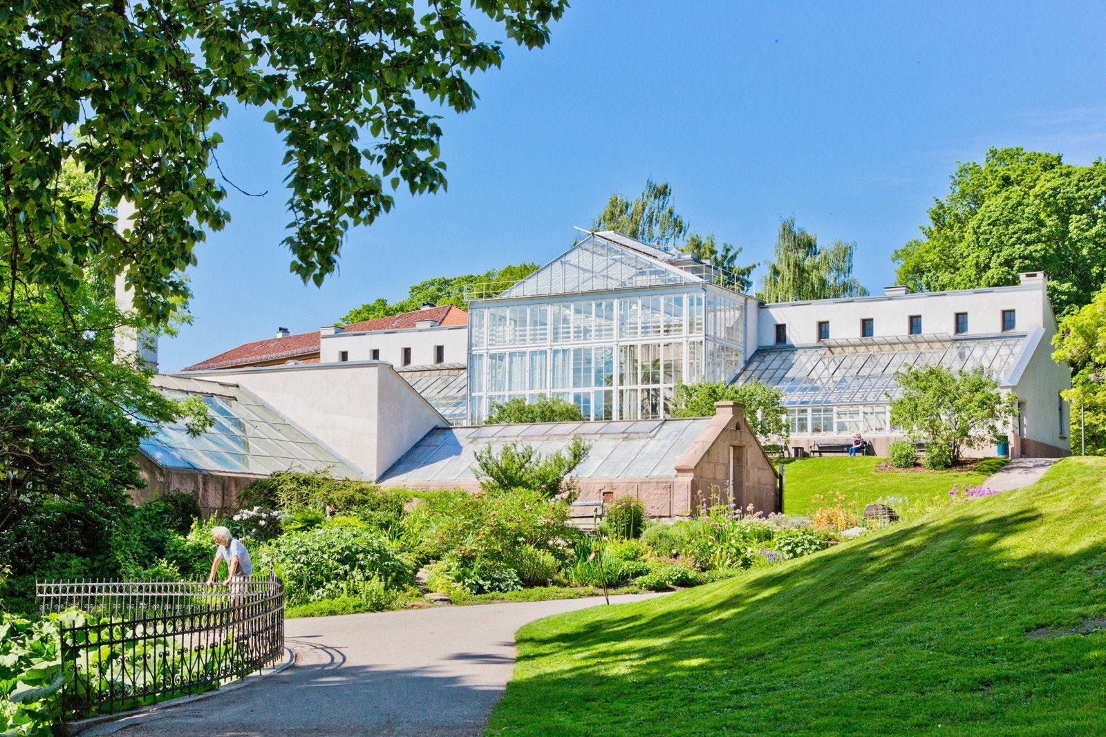 Nærområde - Vakre Botanisk Hage Galleribilde
