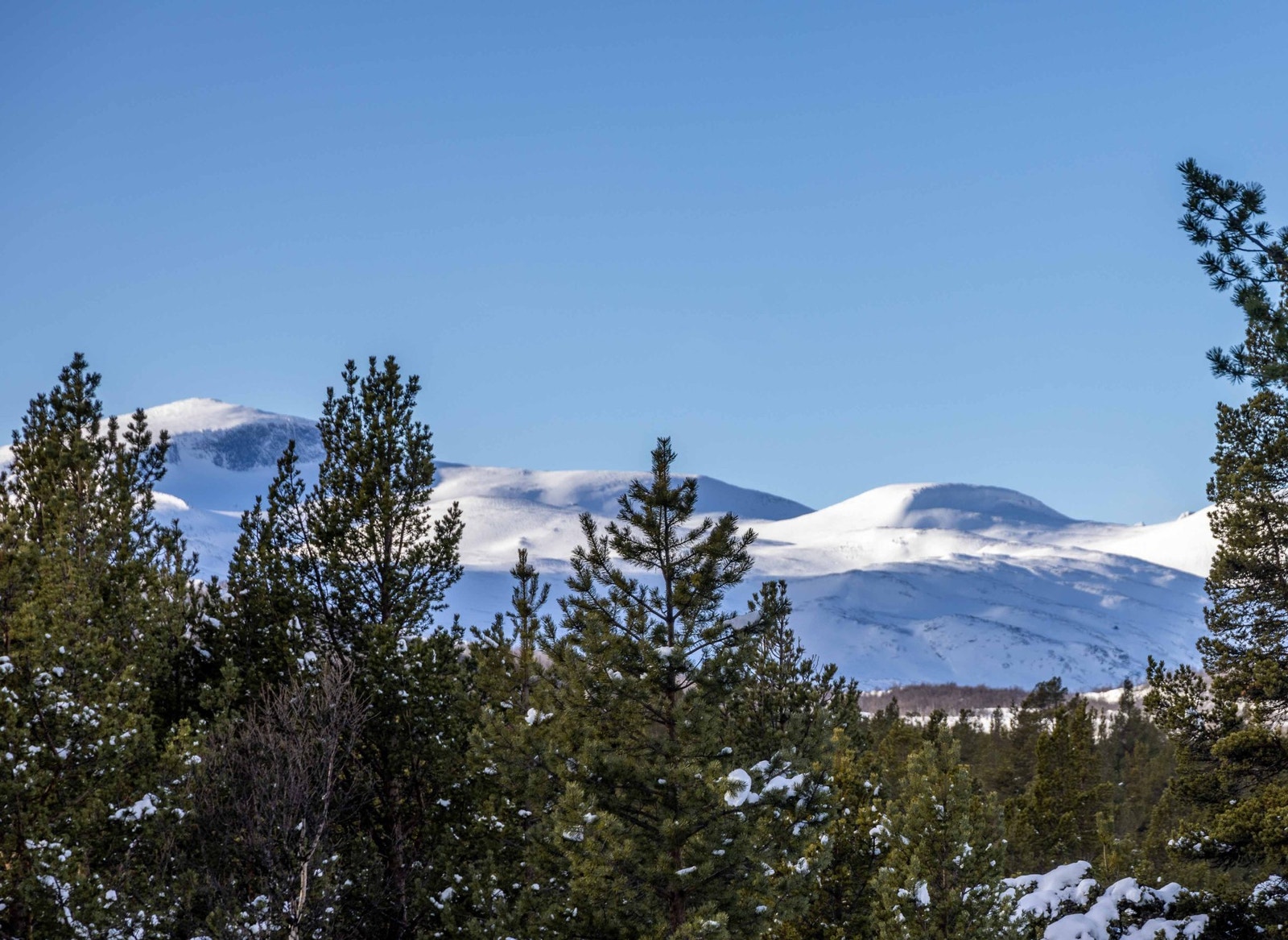 Fra hyttefeltet mot Nautgardsmassivet Galleribilde
