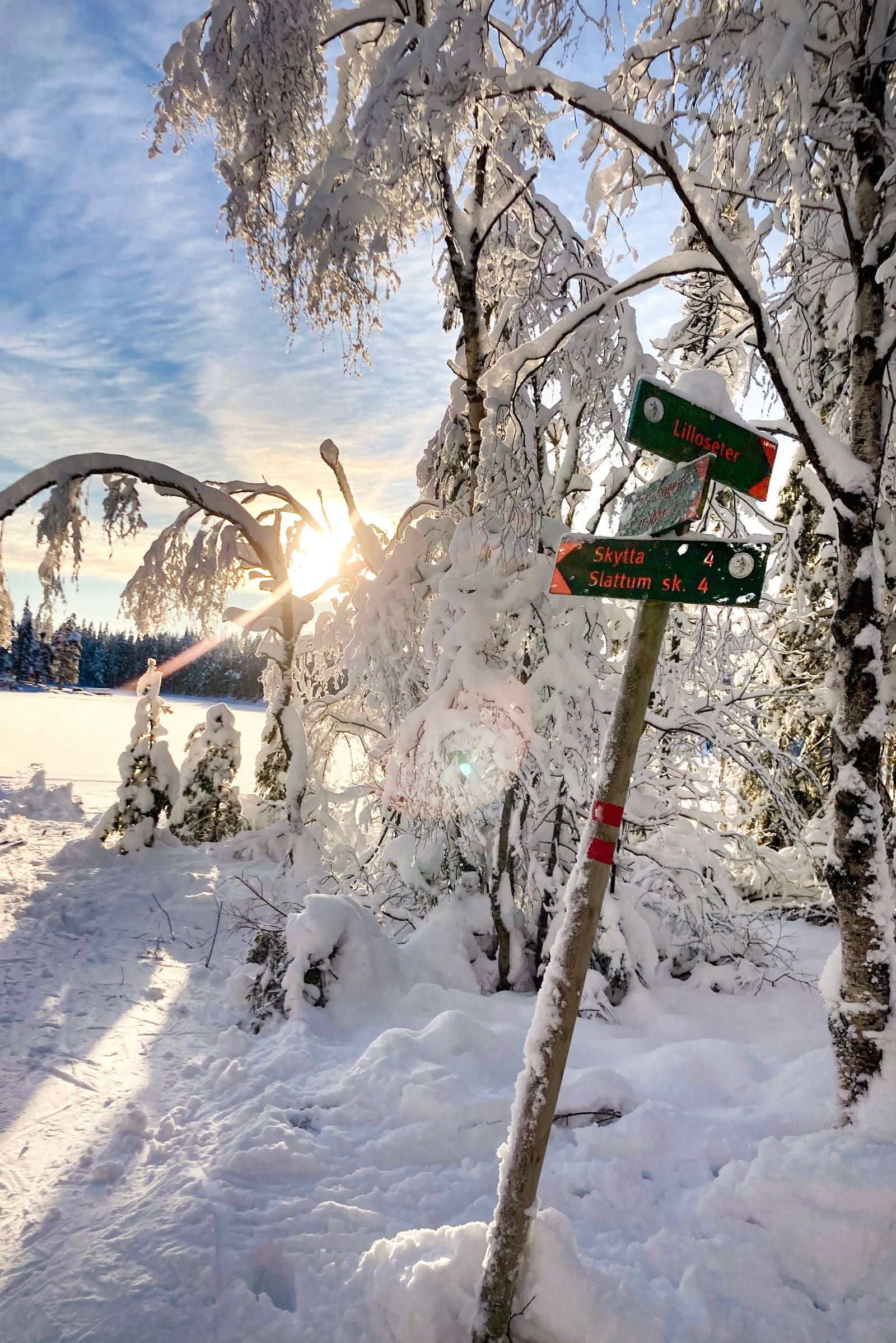 Umiddelbar nærhet til skiforeningens store løypenett som dekker hele Oslo marka. Her er det utallelige skiløyper og turstier året rundt. Galleribilde
