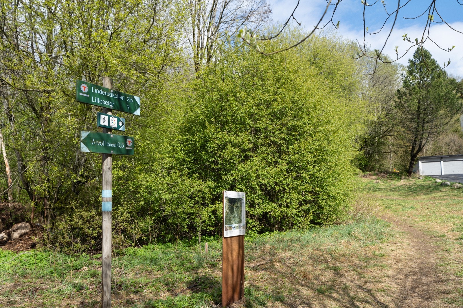 Flotte turmuligheter! Galleribilde