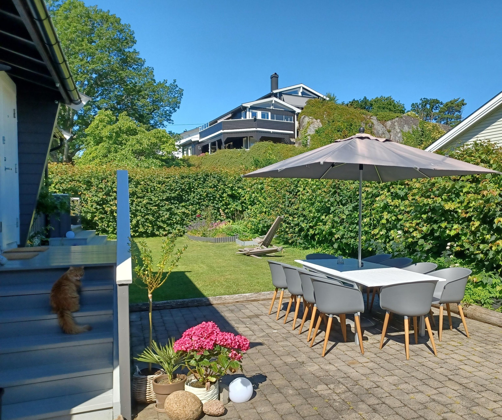 Usjenert uteplass (uten innsyn fra gate) Galleribilde