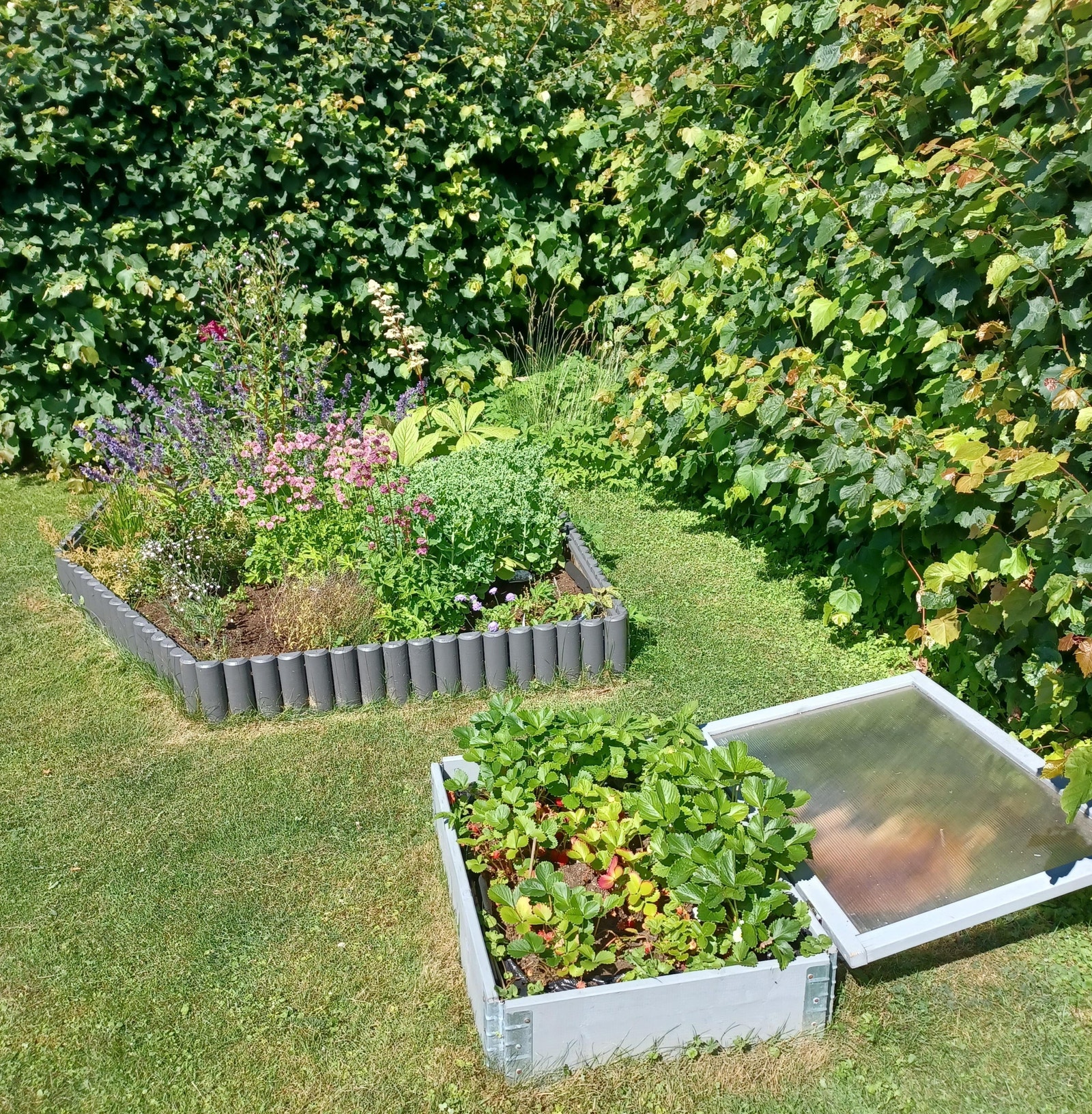 Bilde fra hage Galleribilde