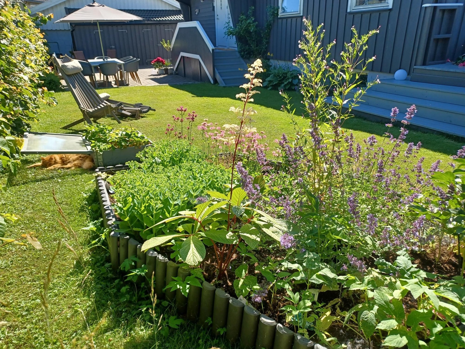 Solrik uteplass fra morgen til kveld Galleribilde