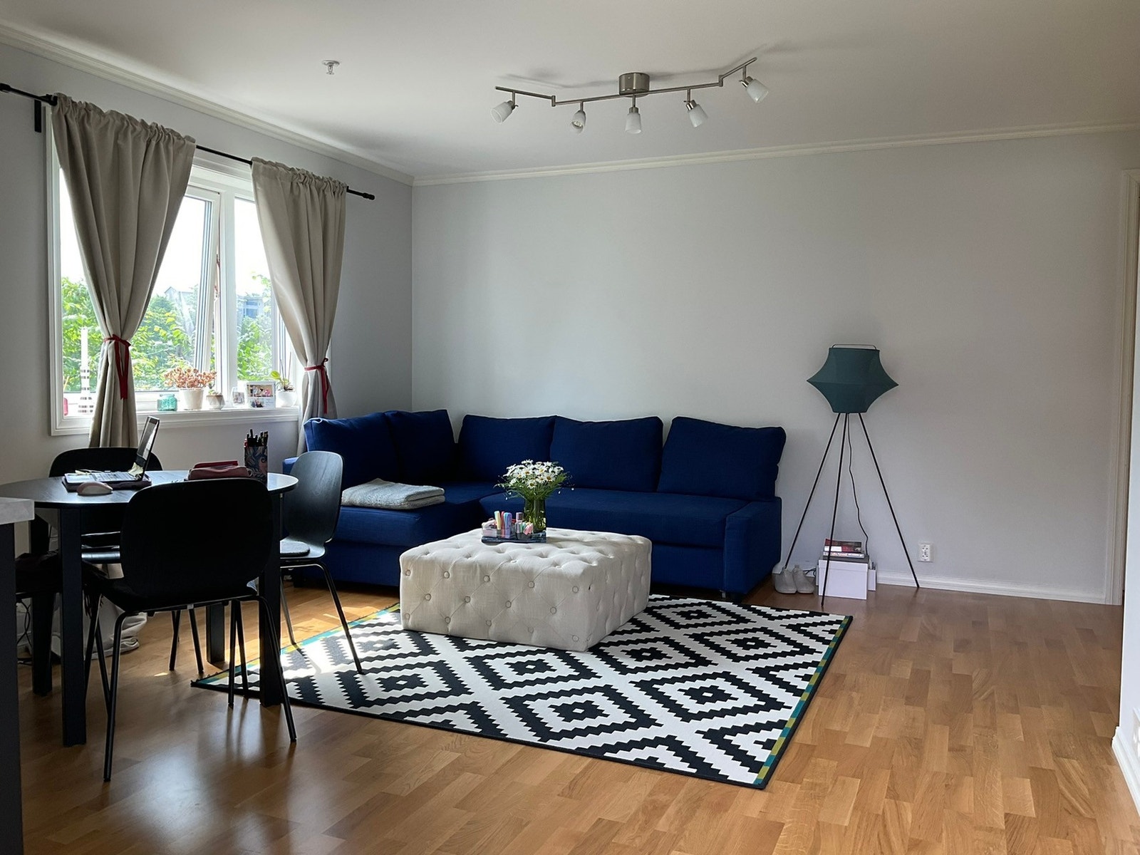 Stue med dobbelseng sovesofa og spiseplass for 4 Galleribilde