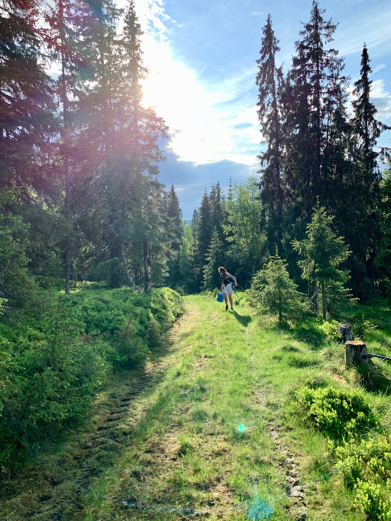 Med dagens bilpark kan alt være mulig. Galleribilde