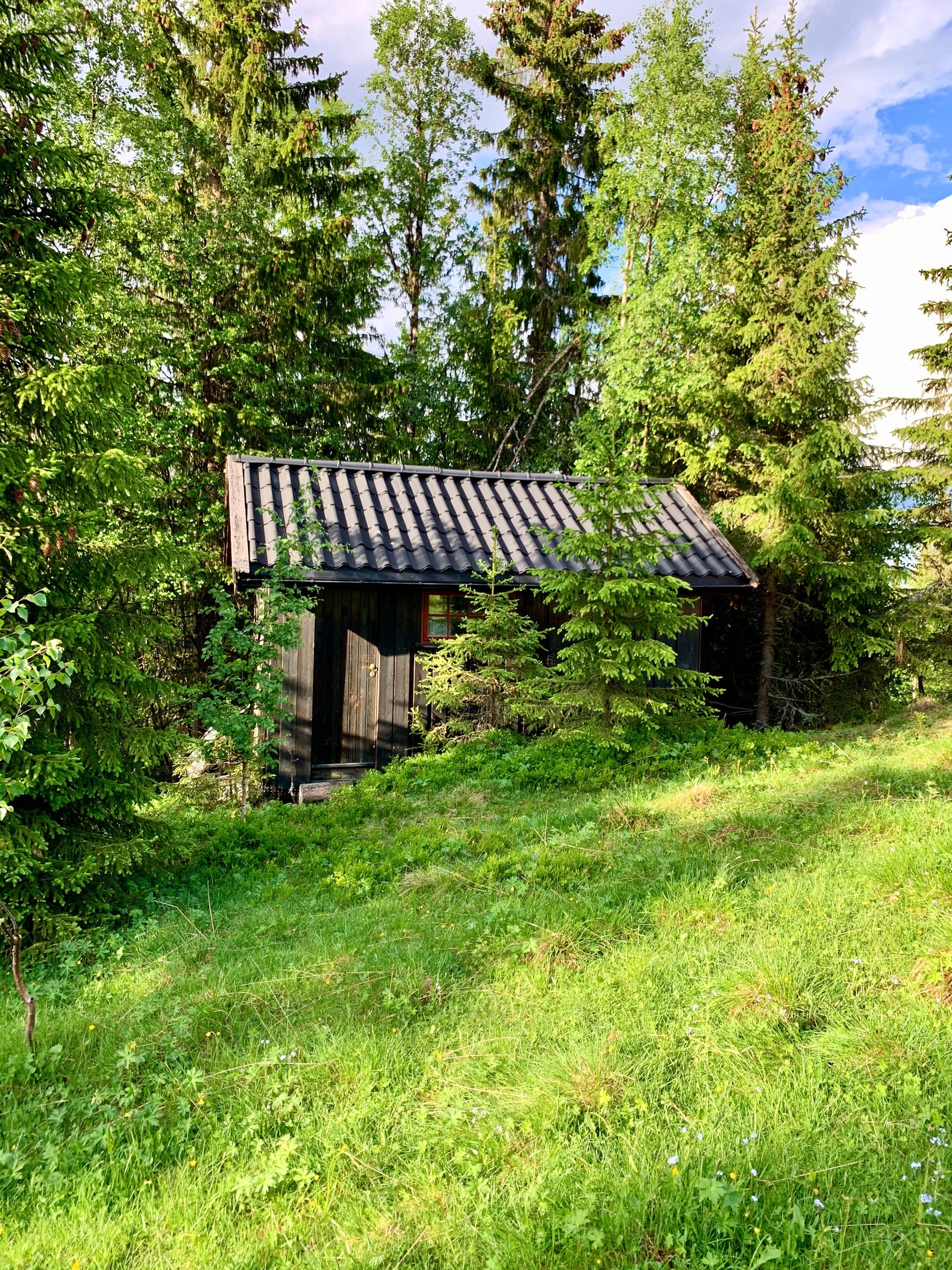 Lykken gror godt på Hovdlisætra. Galleribilde