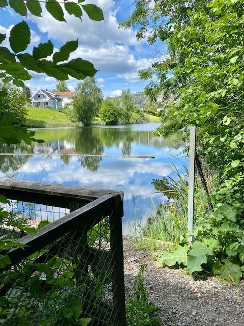 Holmendammen rett nedenfor hagen Galleribilde