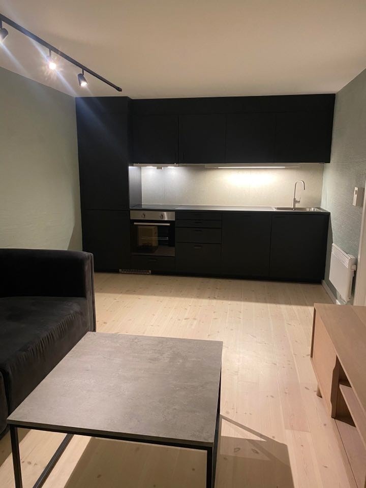 Nytt kjøkken med hvitevarer Galleribilde