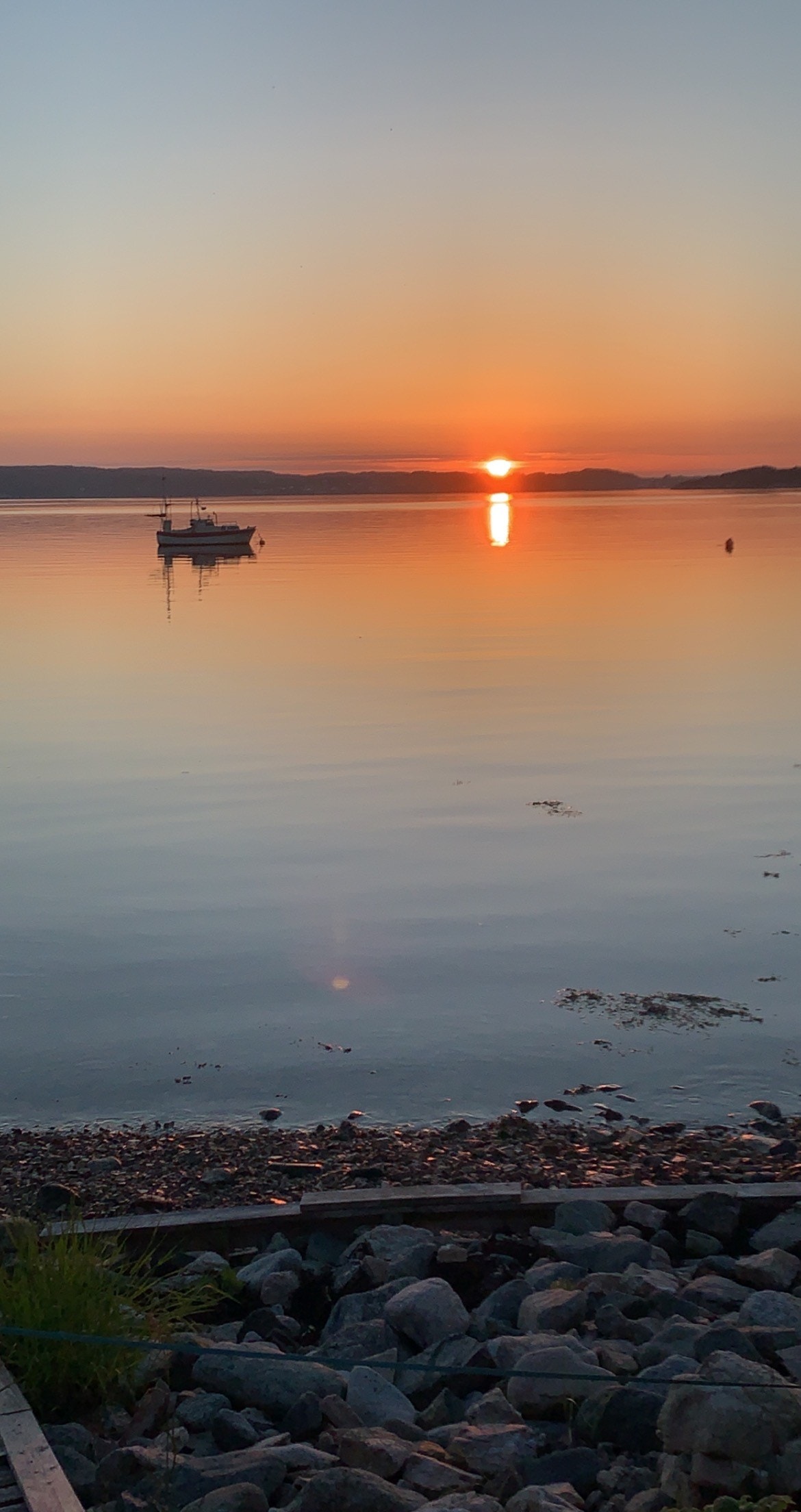 Solnedgang på Tranvikan Galleribilde