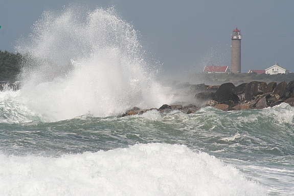 Høye Bølger Galleribilde