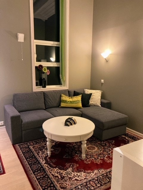 Fellesstue med en annen student, høyt og luftig til tak Galleribilde