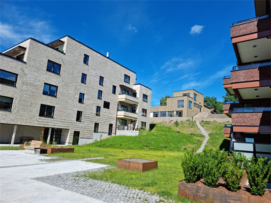 Uteområde Galleribilde