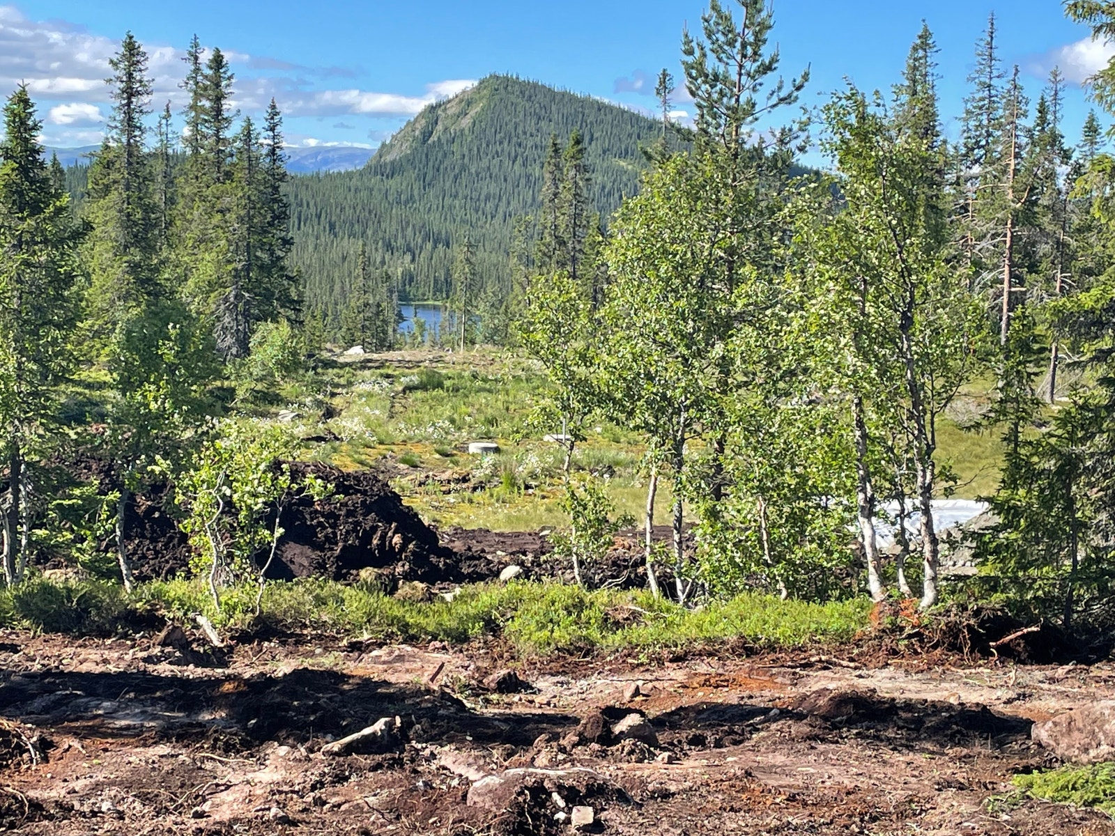 Tomt 39 Galleribilde