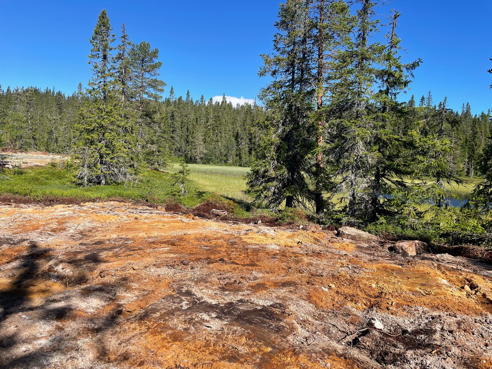 Tomt 39 Galleribilde