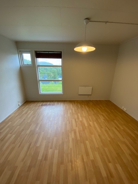 Stue Galleribilde