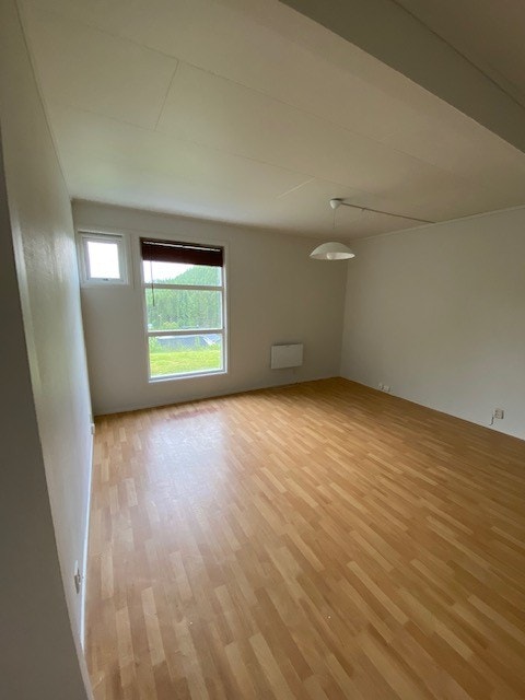Stue Galleribilde