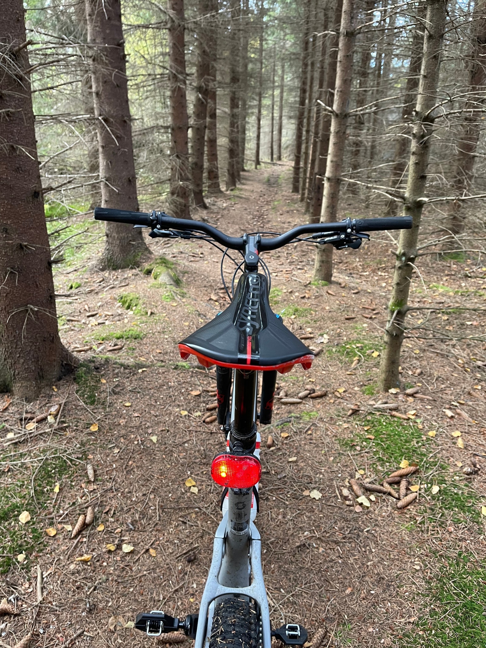 Stier for tur og terrengsykkel Galleribilde