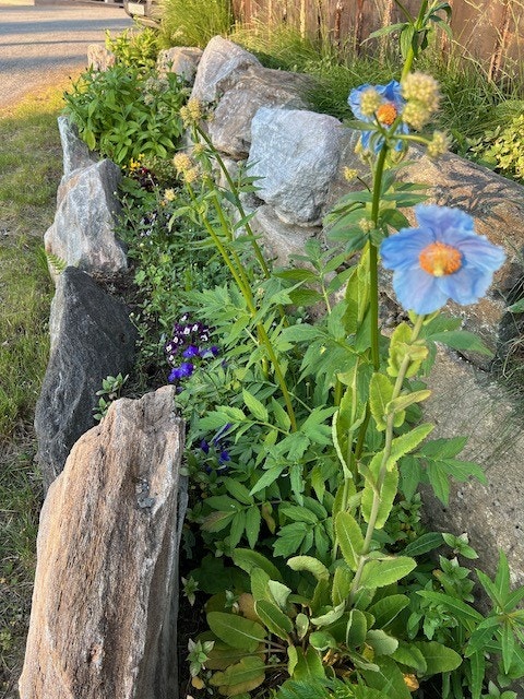 Innkjørsel Galleribilde