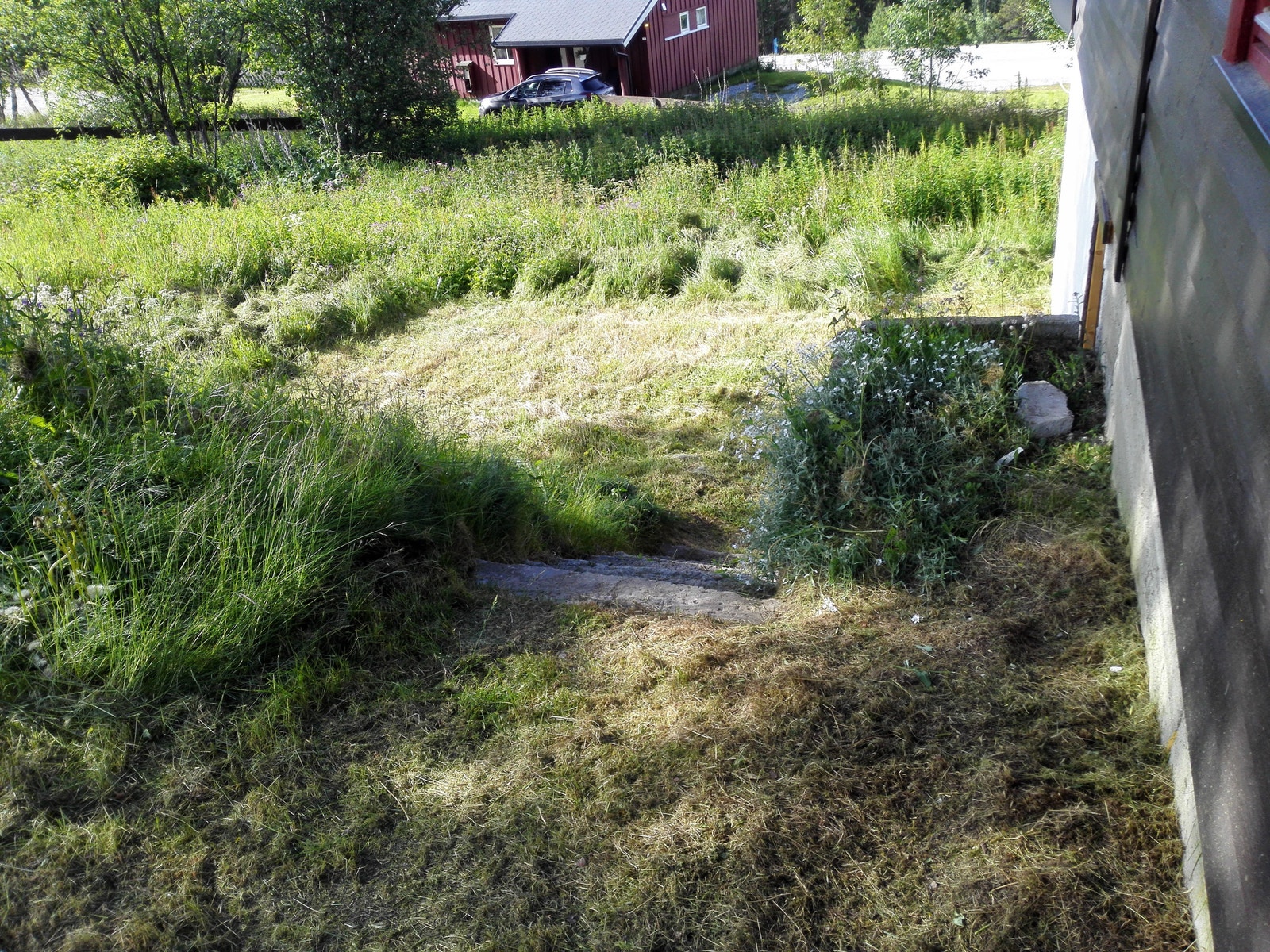 trapp til kjeller og uteplass mot øst Galleribilde