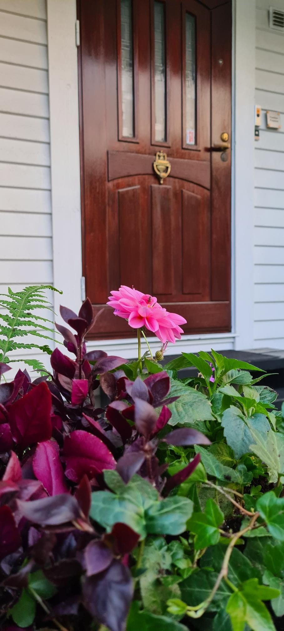 Idylliske og rolige omgivelser, men kort gåavstand til alt Galleribilde