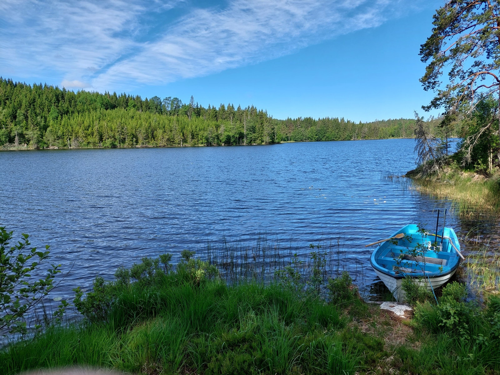 Bovatn er nærmeste innsjø. Dit tar det bare åtte minutter å gå. Galleribilde