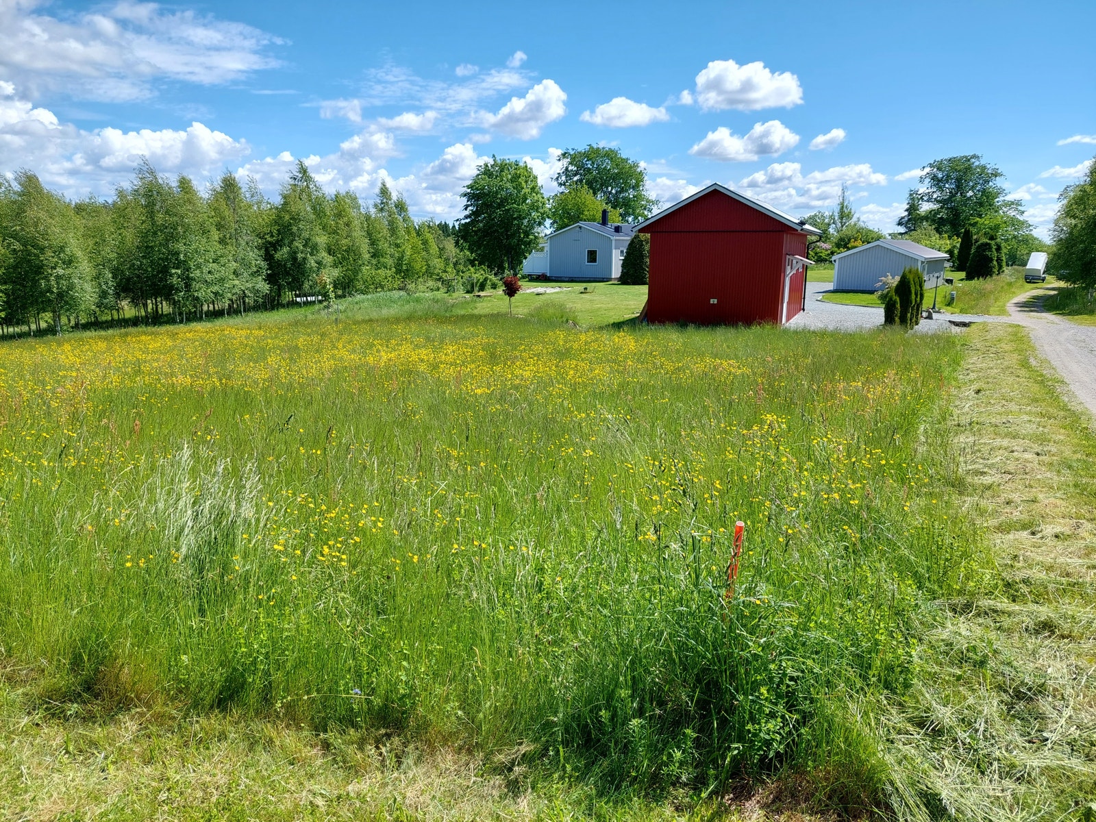 Tomt 1:23 – 1631 m2 – tenkt som boligtomt: Bobilgarasjen, bygget i 2014, står på denne tomta. Ellers gir tomten muligheter for nybygg eller mark for egen dyrking. Den består nå av eng. Galleribilde
