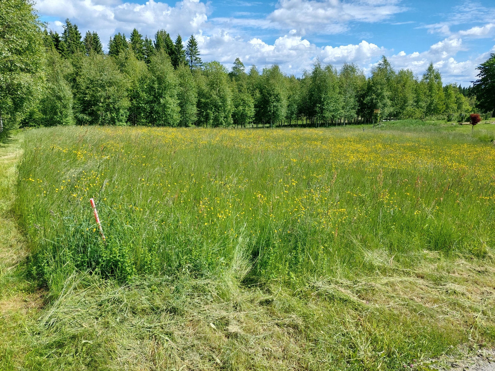 Tomt 1:23 Galleribilde