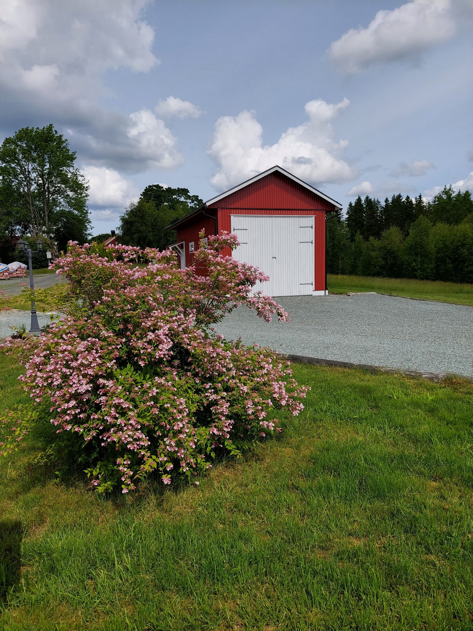 Det er flere prydbusker, frukttrær, bær og blomsterbed i hagen Galleribilde