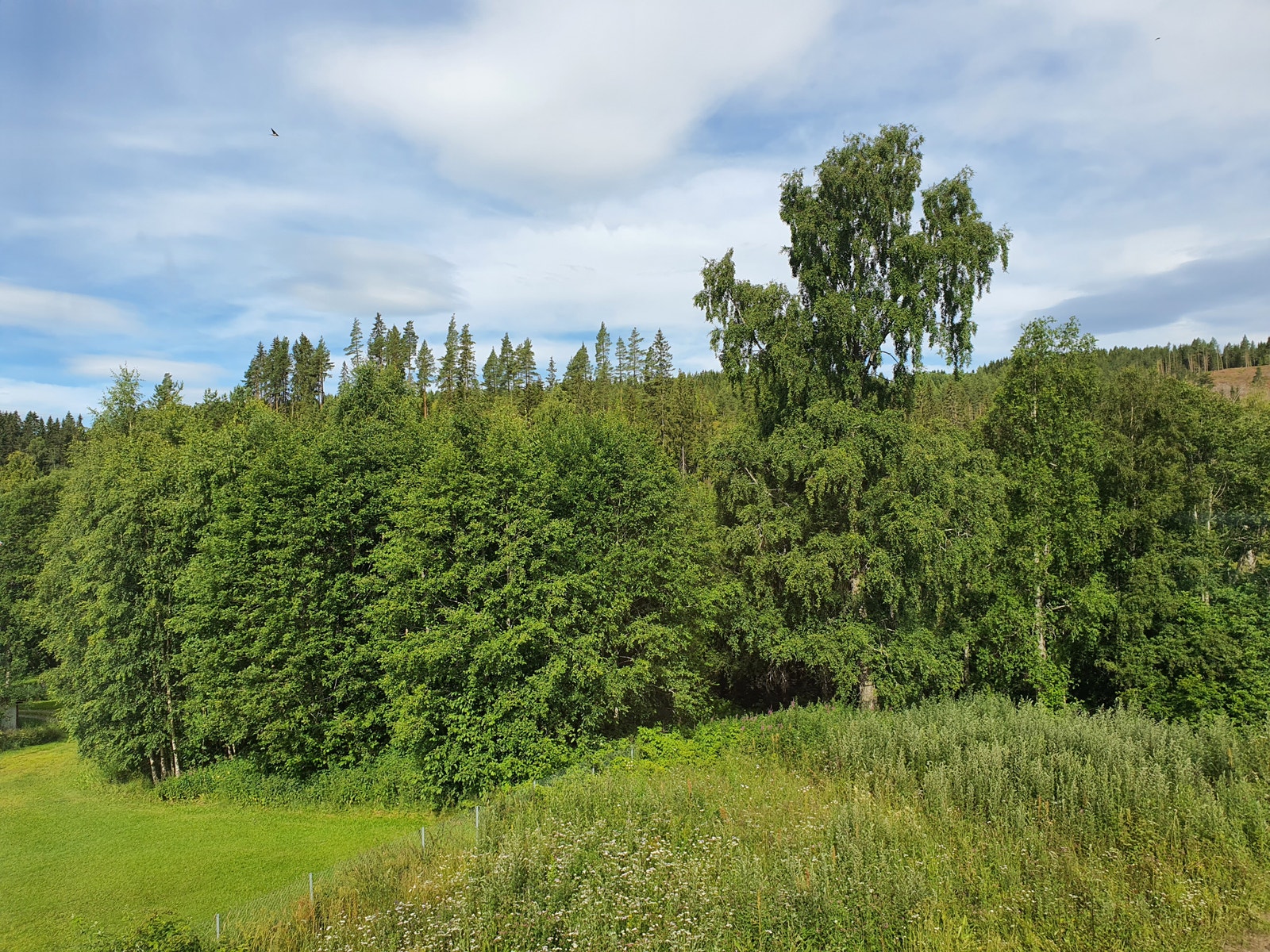Eiendommen, nærområde Galleribilde