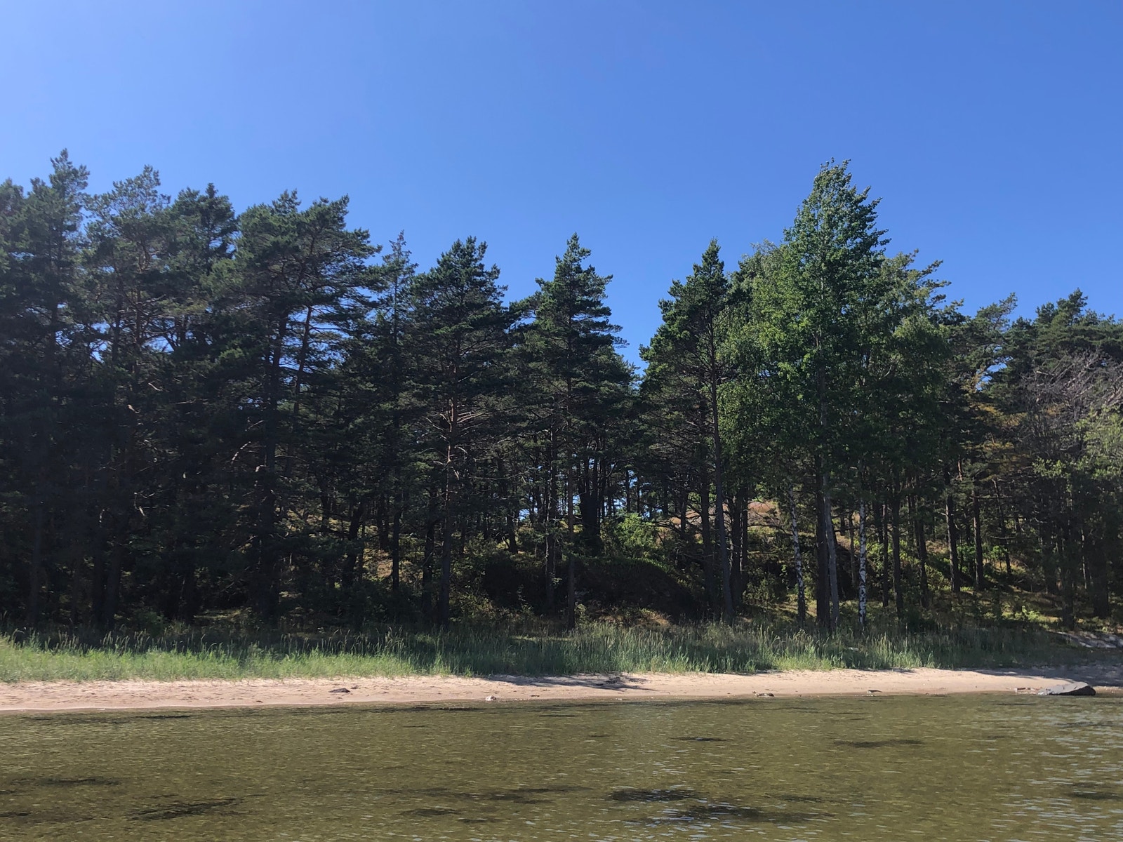 Usjenert og nydelig strand rett ved hytta Galleribilde