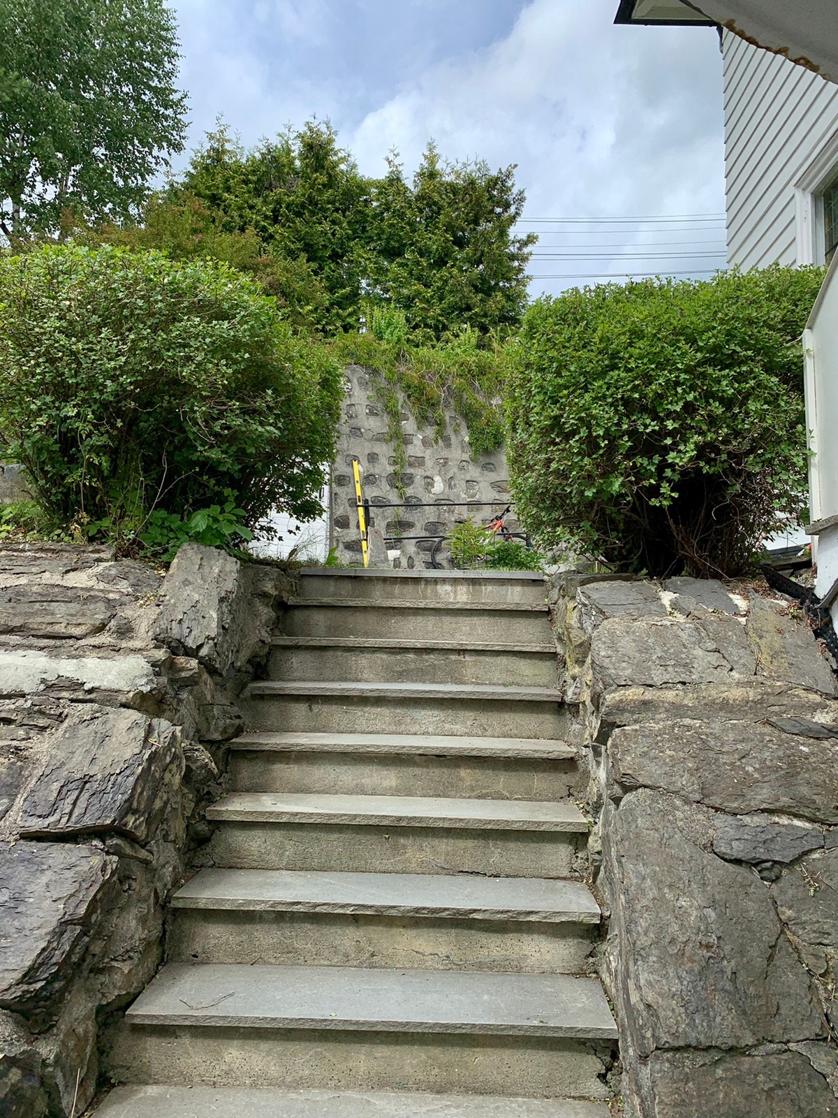 Inngangsparti på sommeren Galleribilde