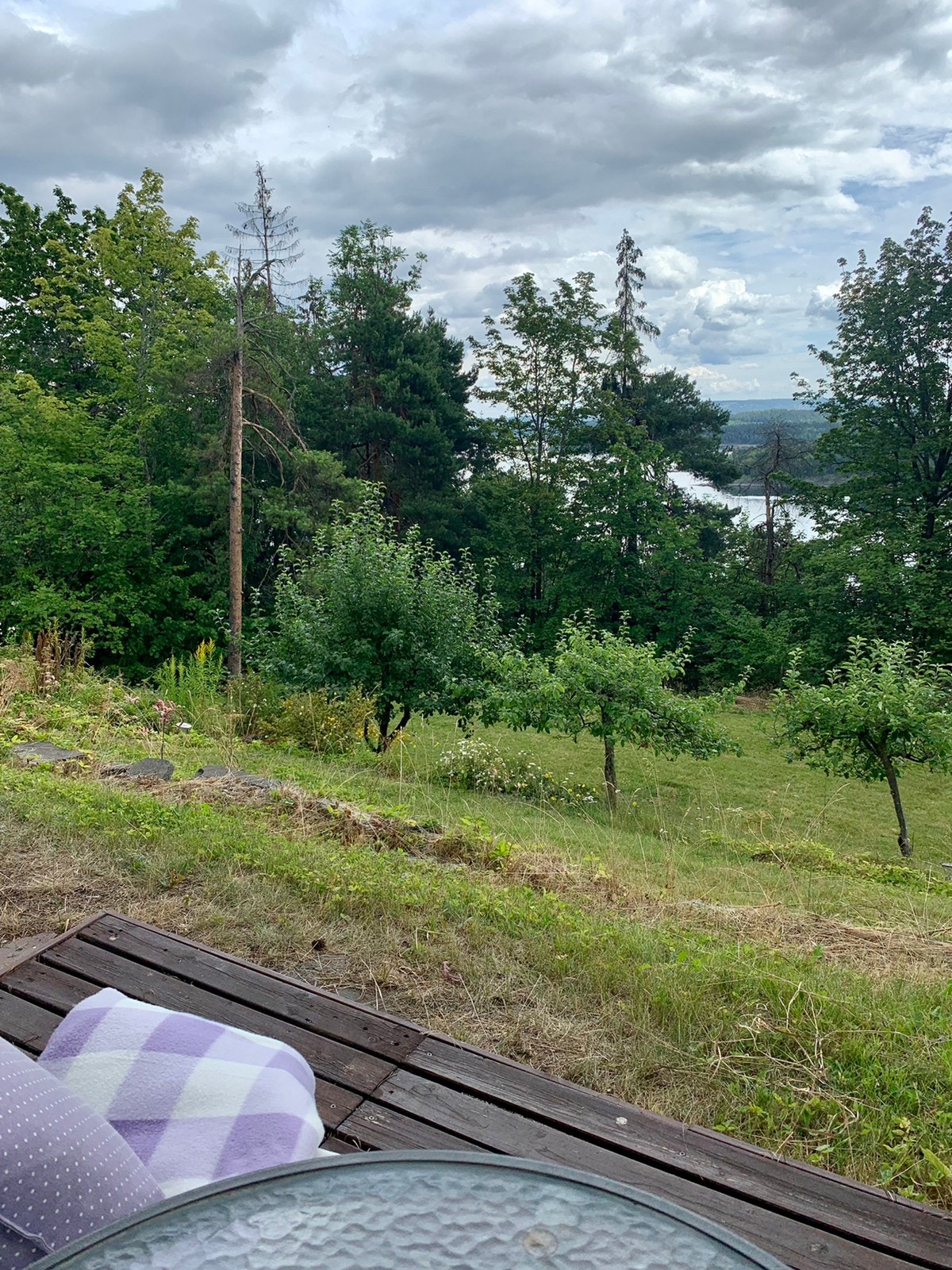 Utsikt fra sitteplass på sommeren Galleribilde