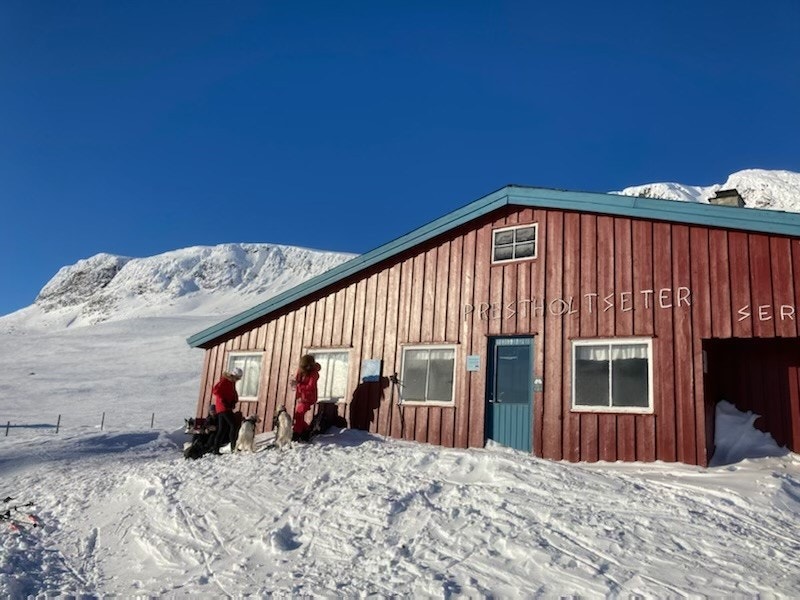 Prestholtsæter Galleribilde