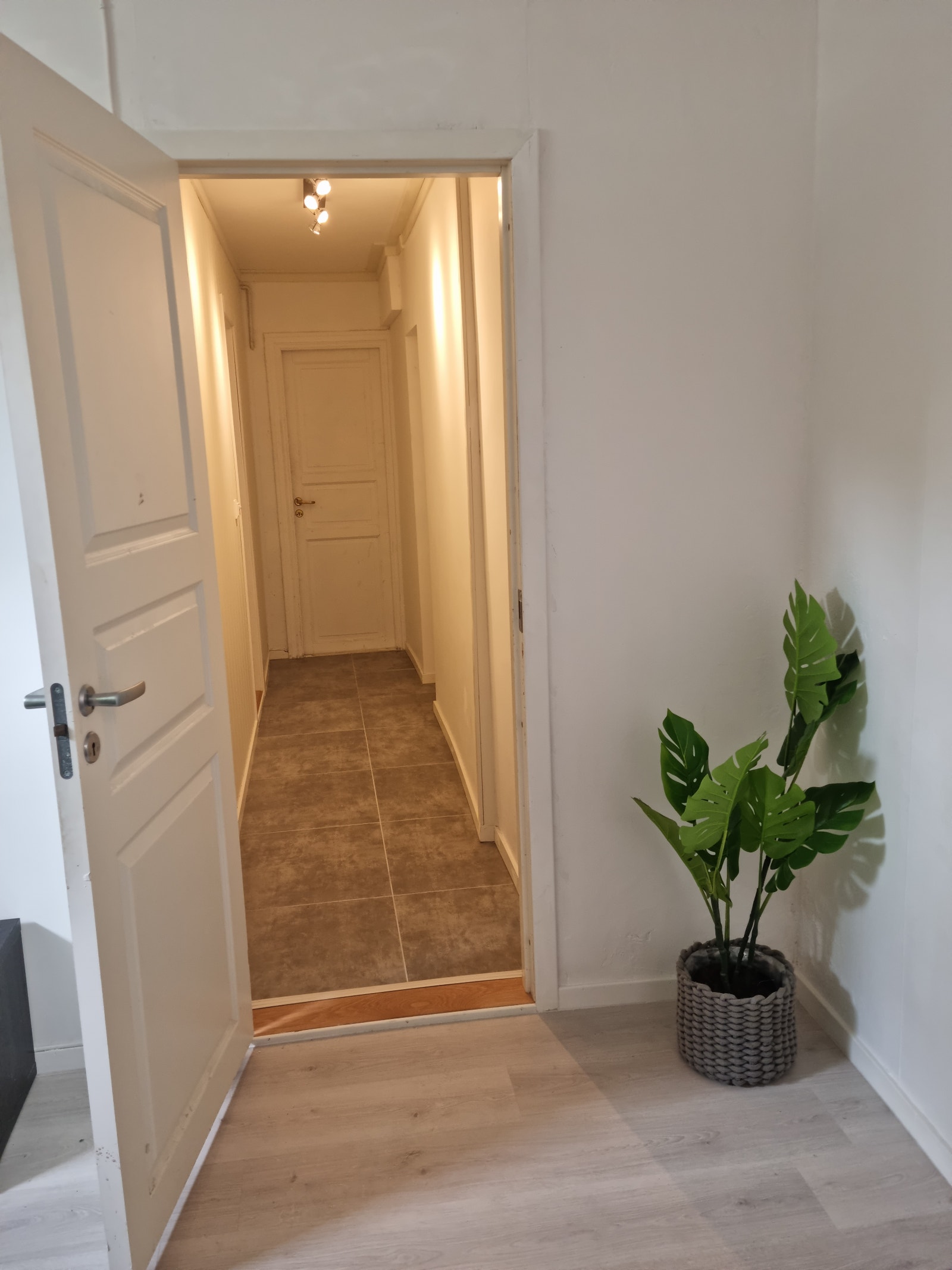 Detaljbilde Galleribilde