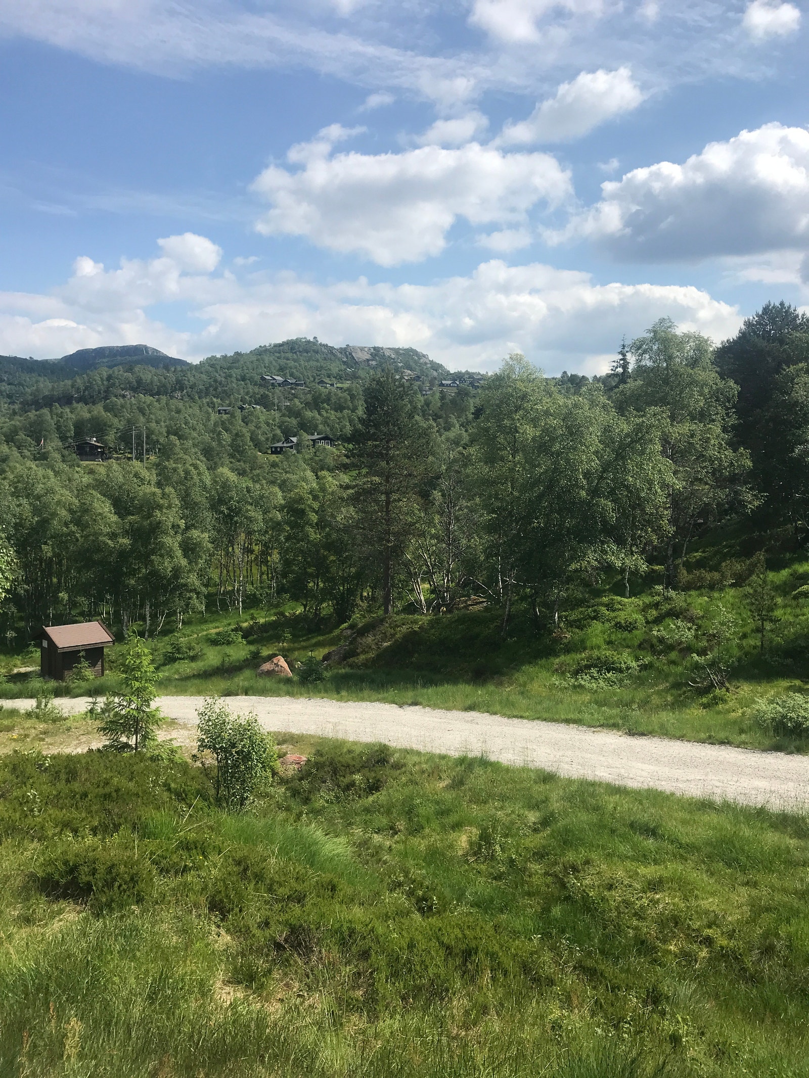 Rett utfor hytta Galleribilde