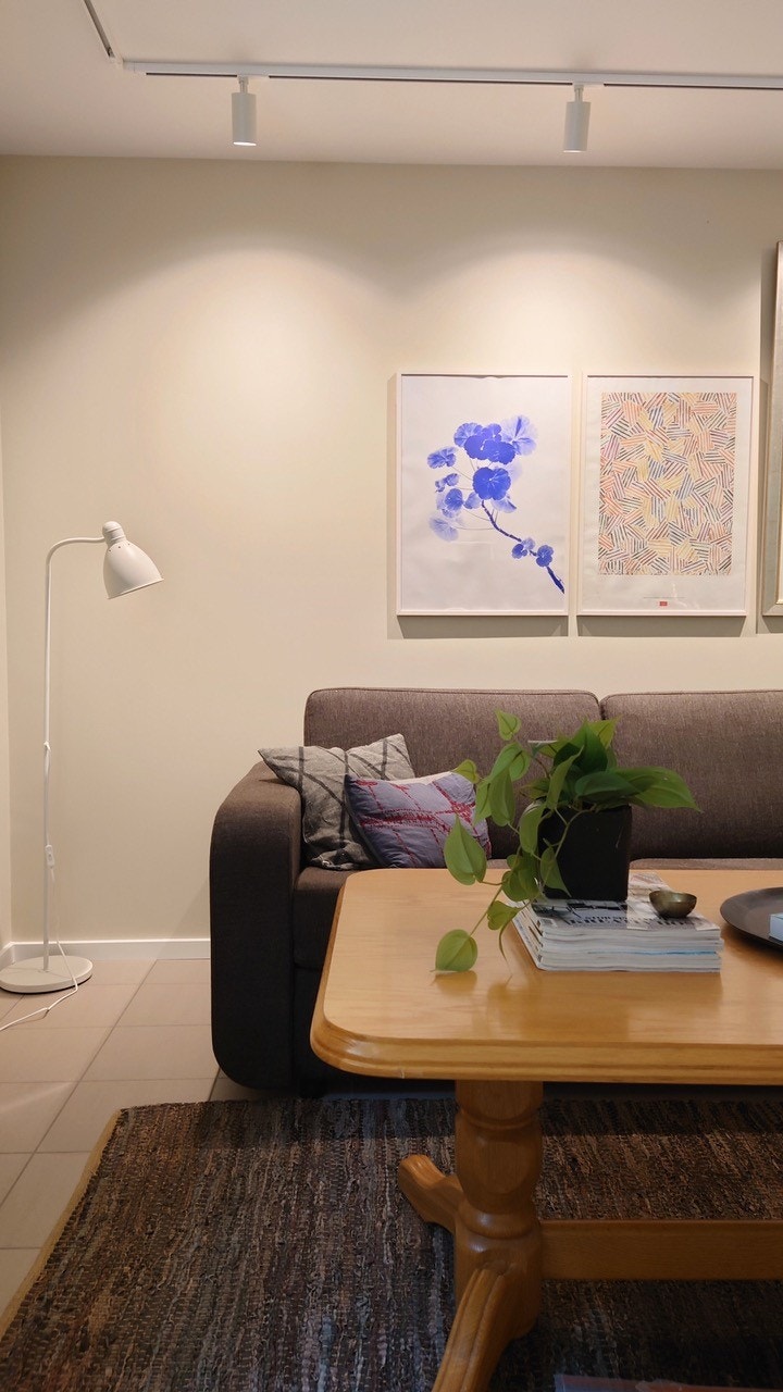 Sovesofa fra Hovden. Galleribilde