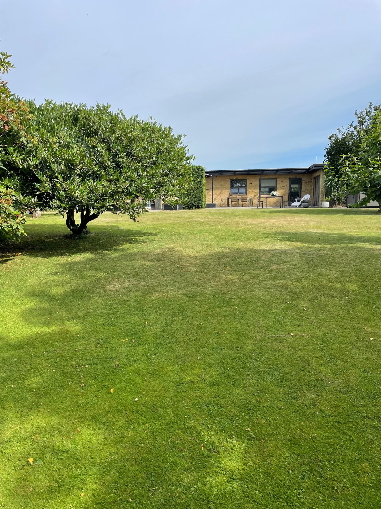 Robotklipper holder plenen fin Galleribilde