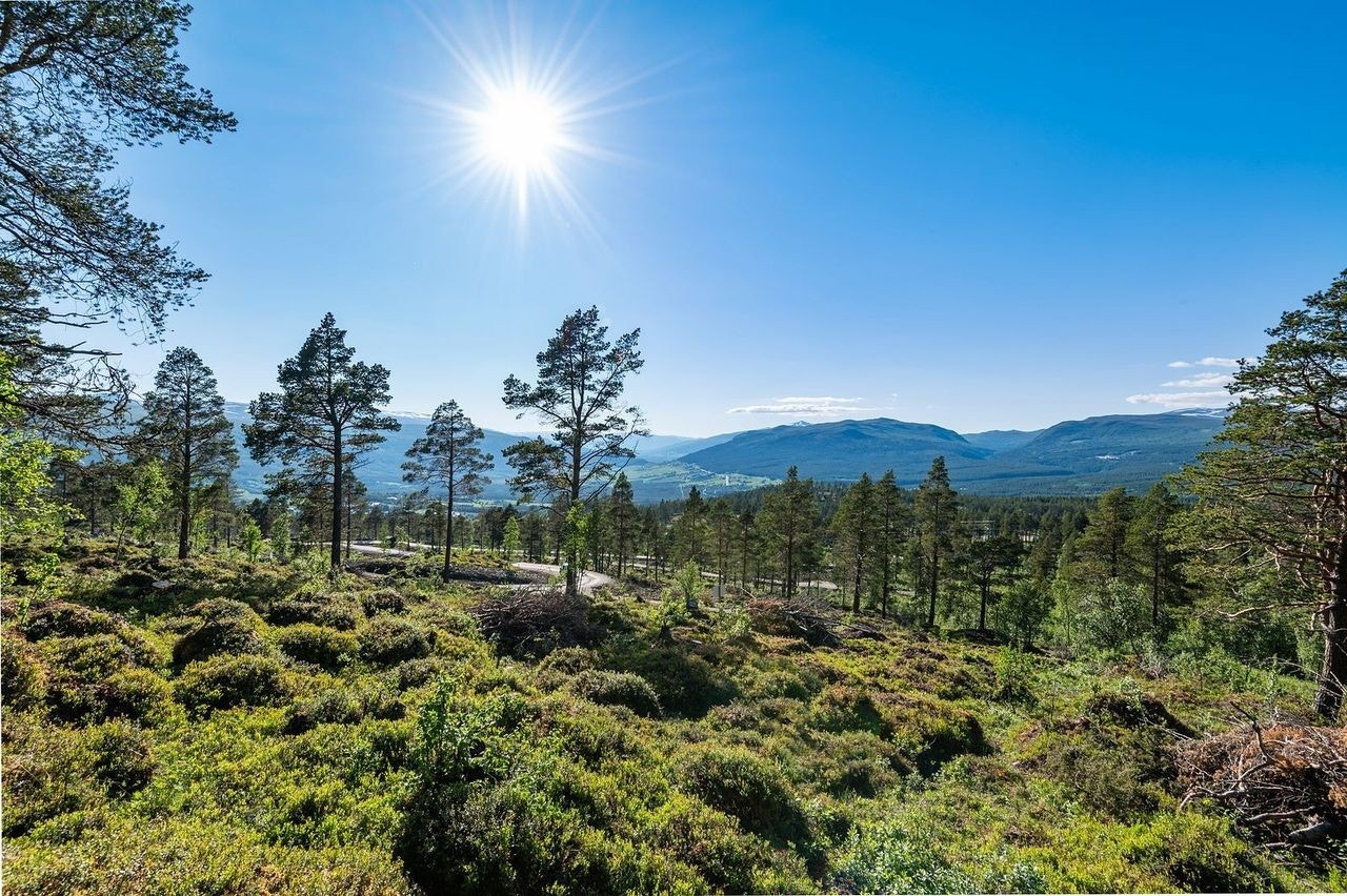 utsikt fra tomt 18 Galleribilde