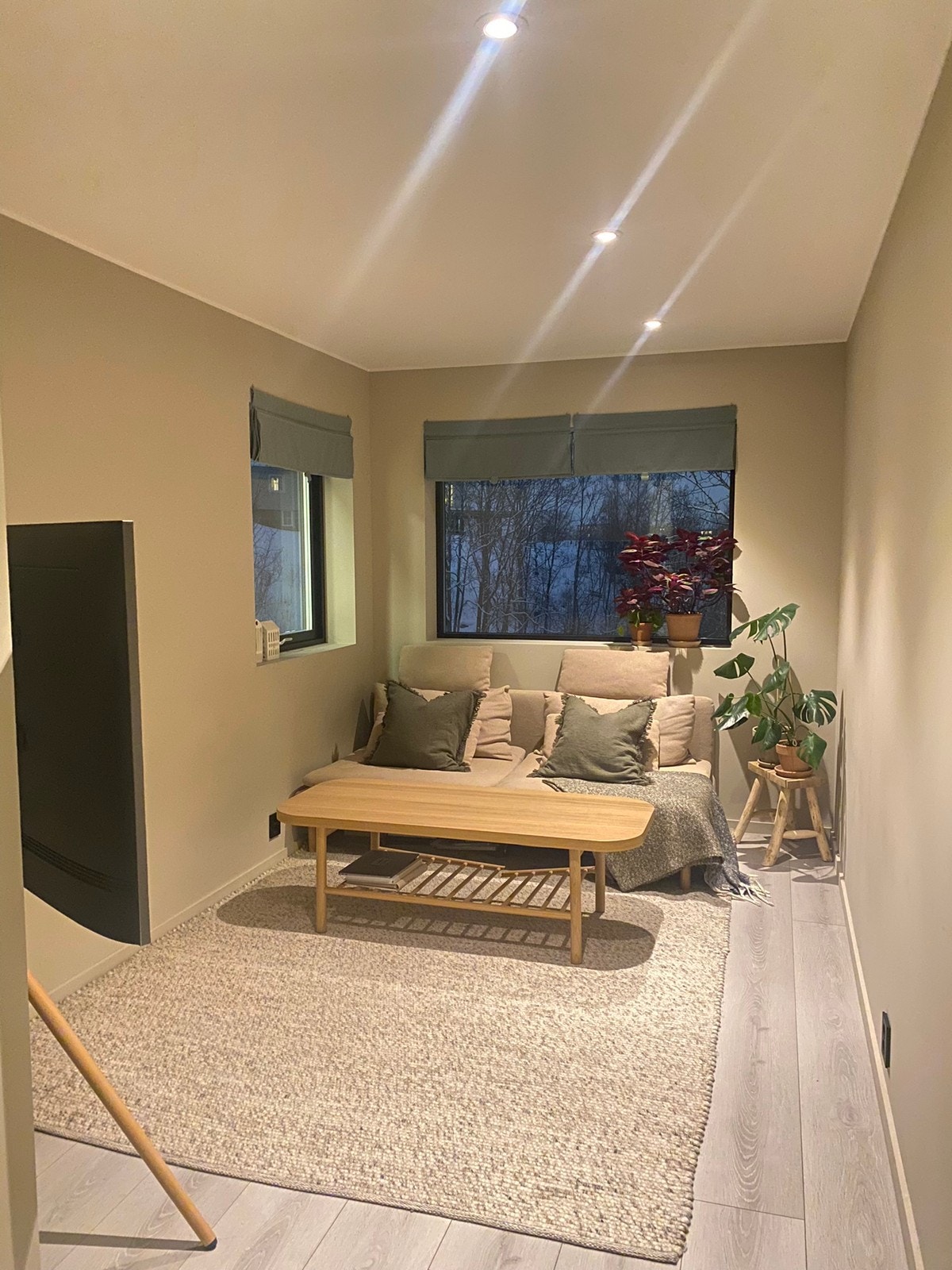 Stue møblert(medfølger ikke) Galleribilde