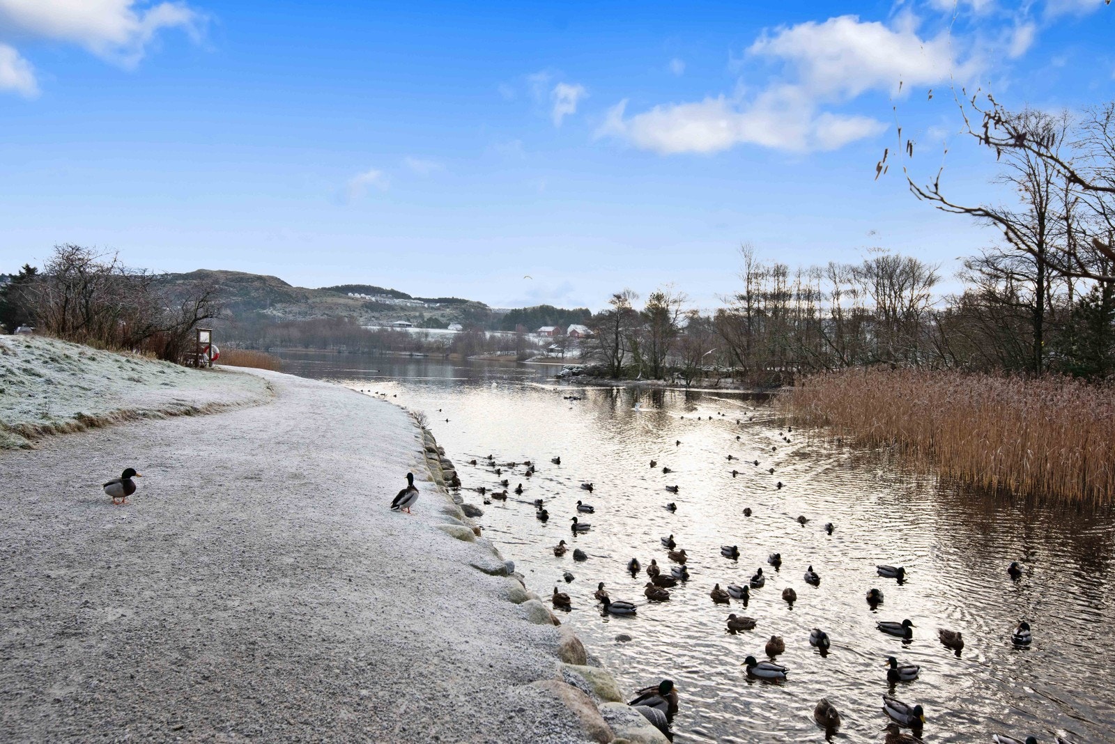 Stokkelandsvannet Galleribilde