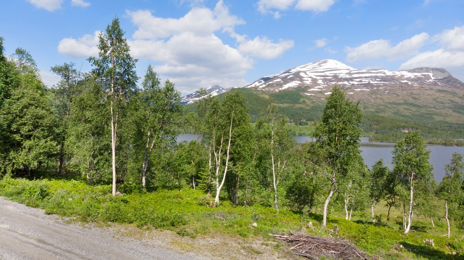 Utsikt. Galleribilde