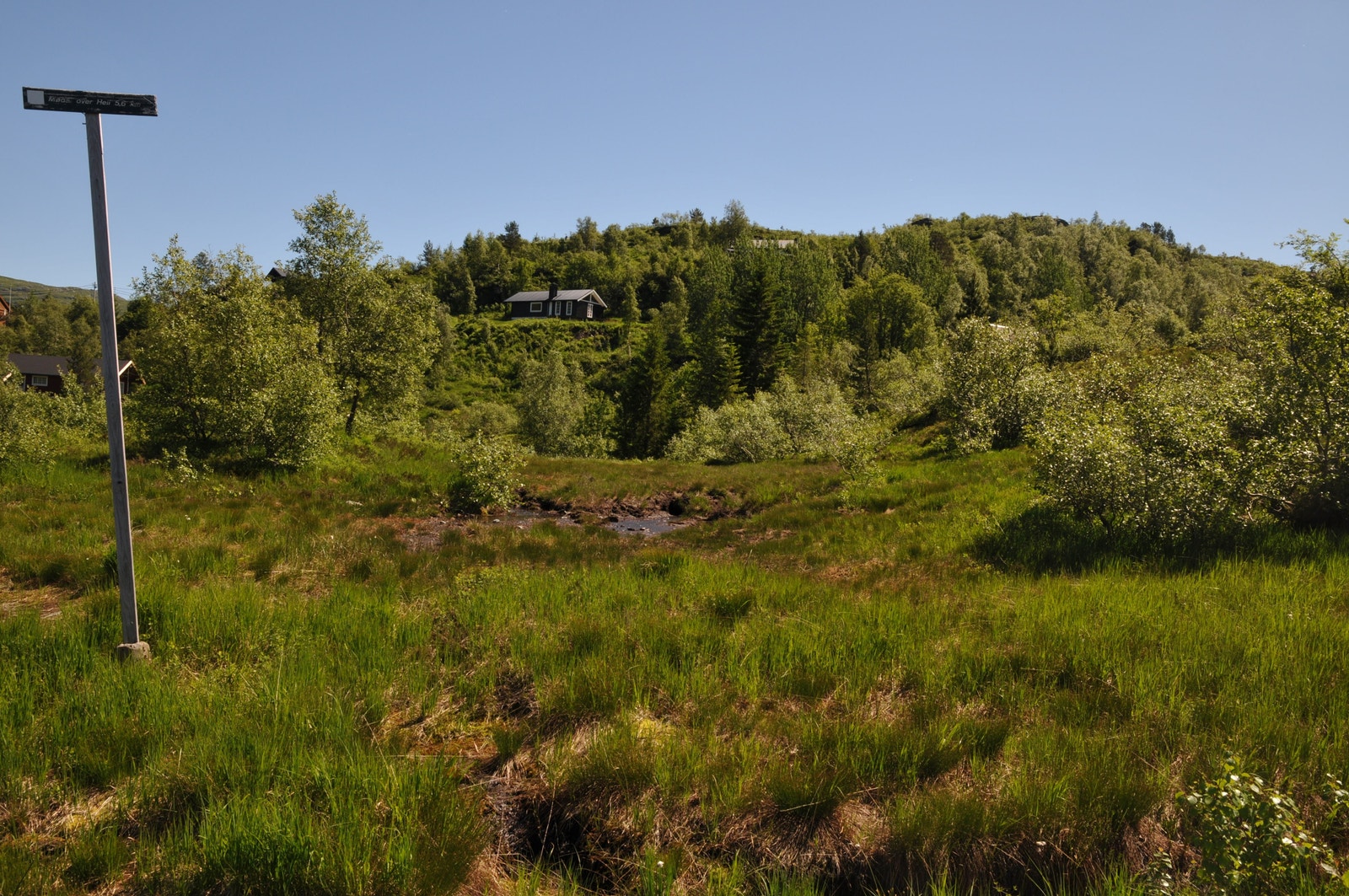 Areal som er regulert til fritidsbebyggelse Galleribilde