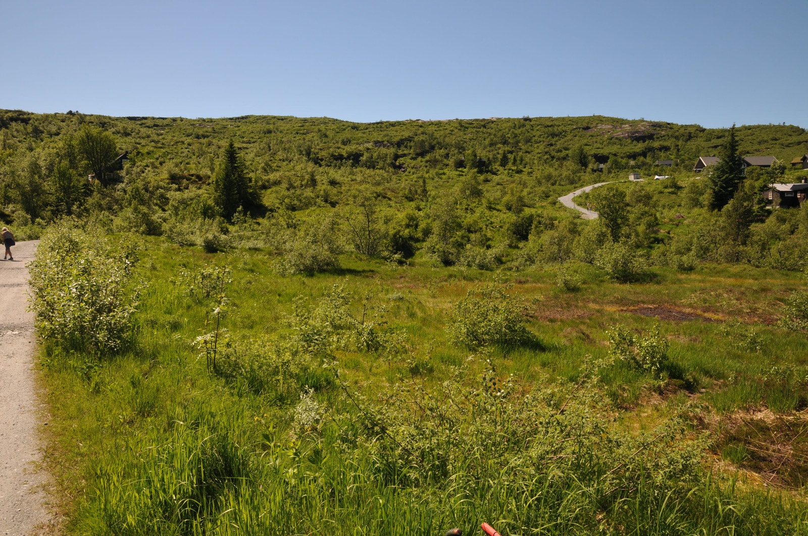 Tomteområdet vist mot sør Galleribilde