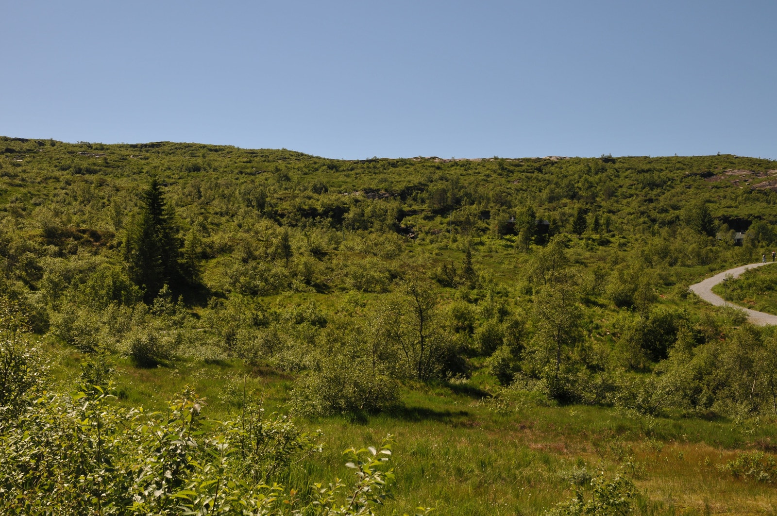 Bebyggelig areal mot sør Galleribilde
